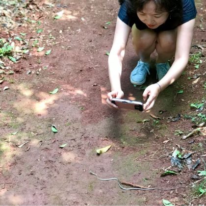Sendero al Río Iguazú